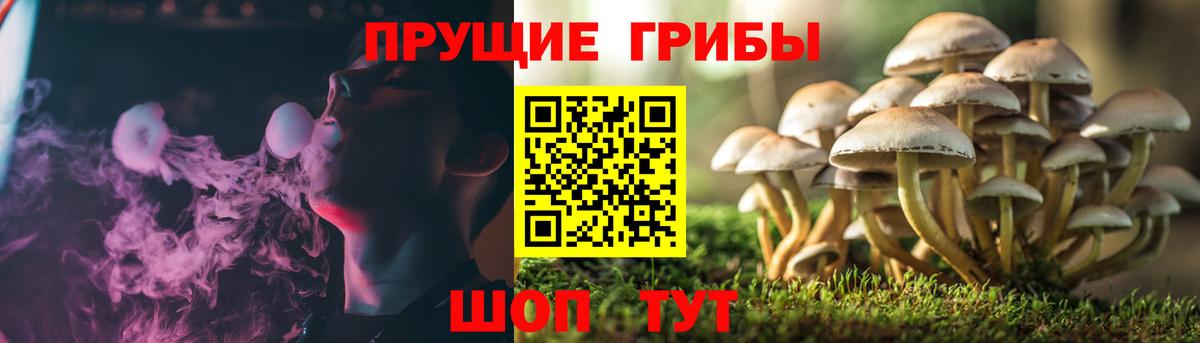 Белогорск  купить наркотик  Вход с VPN  Галлюциногенные грибы Magic Shrooms  Галлюциногенные грибы ЛСД 